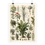 Herbier tropical vintage style by i-Art with botanical illustrations.