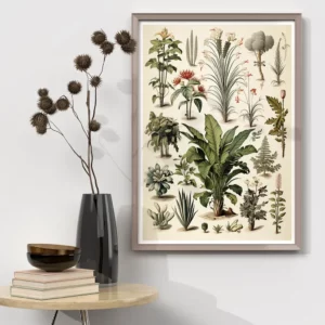 Illustration of Herbier tropical by i-Art, vintage botanical design.
