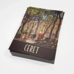 Cartes postales Ceret les platanes