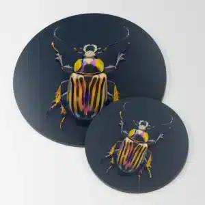 Plaque déco. insecte #1