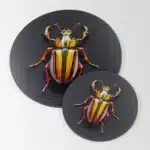 Plaque déco. insecte #4