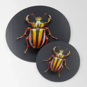 Plaque déco. insecte #4