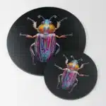 Plaque déco. insecte #5