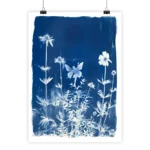 Fée Cyanotype poster by i-Art, dreamy fairy design, 50x70 cm.